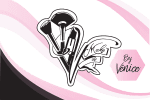 venice-beaute-logo-texte